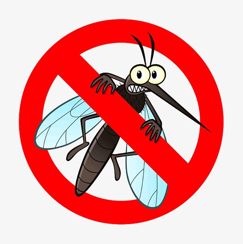 Quais são os diferentes tipos de mosquitos?