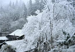 GRITANDO O MUNDO! O inverno na província de Hubei da China.