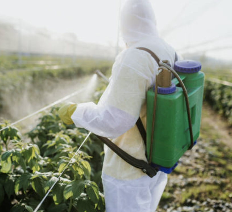 produtos para controle de pragas